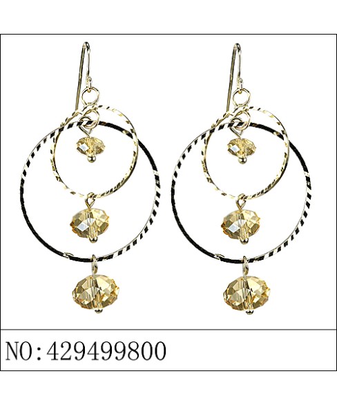 Earrings Brown