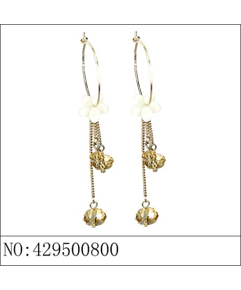 Earrings Brown