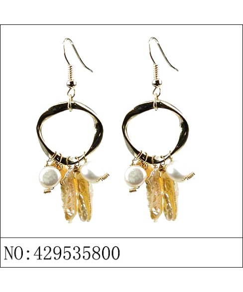 Earrings Brown