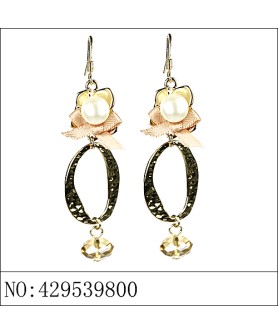 Earrings Brown
