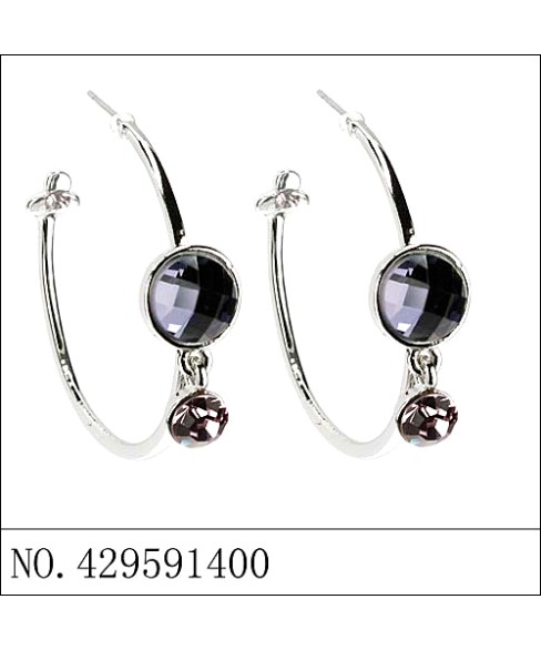 Earrings Gray