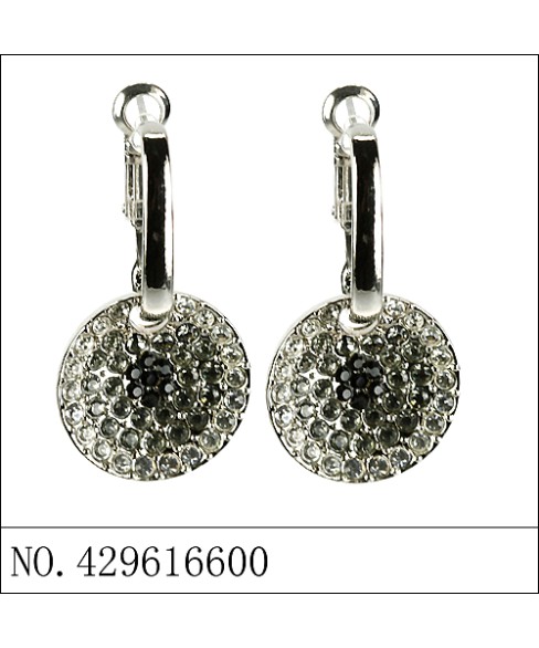 Earrings Gray