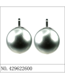 Earrings Gray