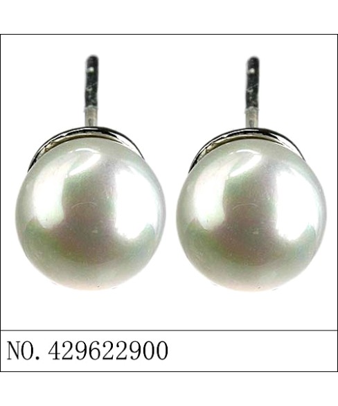 Earrings Gray