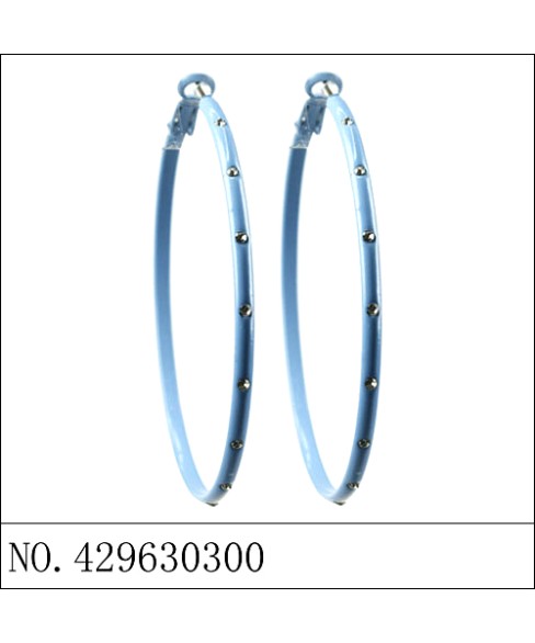 Earrings Blue