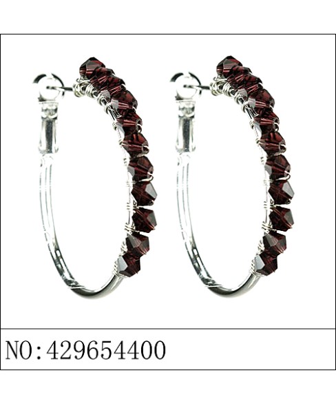 Earrings Purple