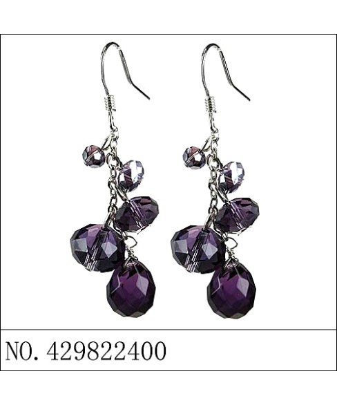 Earrings Brown