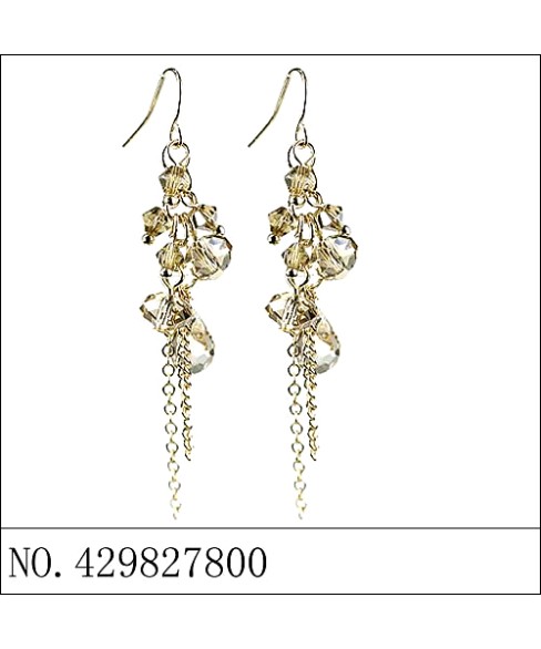 Earrings Brown