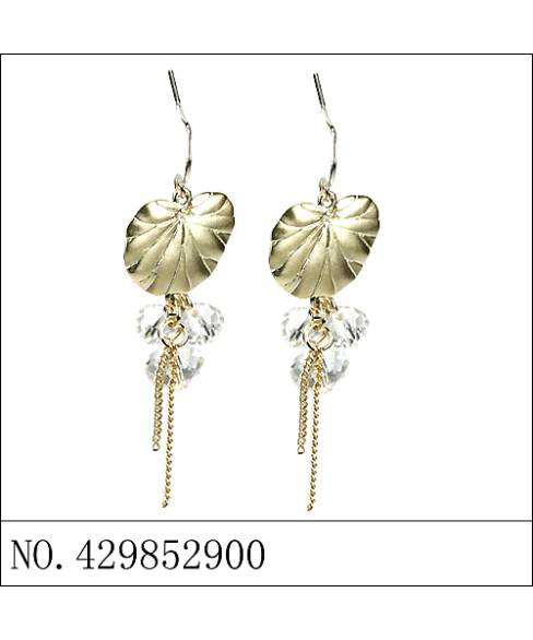 Earrings Brown