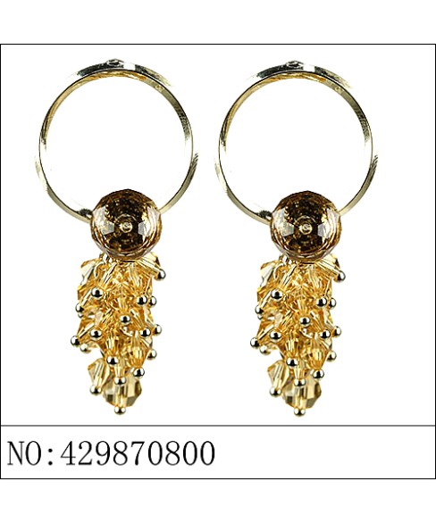 Earrings Black