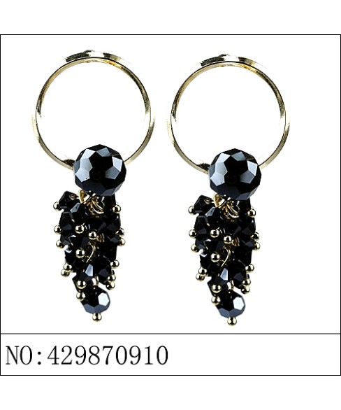 Earrings Brown