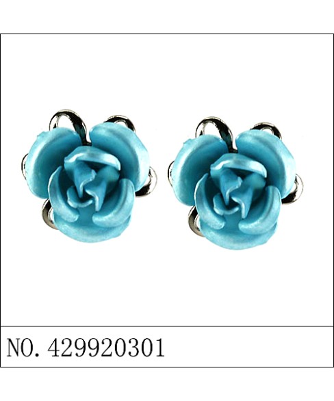 Earrings Blue