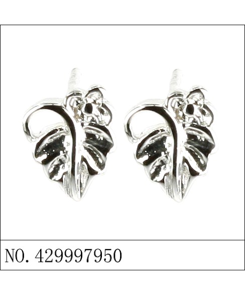 Earrings White Gold